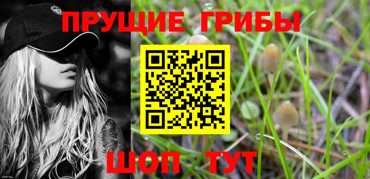 Лосино-Петровский  Псилоцибиновые грибы GOLDEN TEACHER  Вход с VPN 